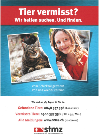 Flyer Tiere vermisst